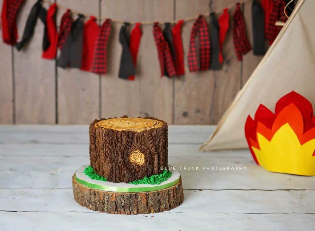 lumberjack cake, cake smash, central illinois photography, smash session