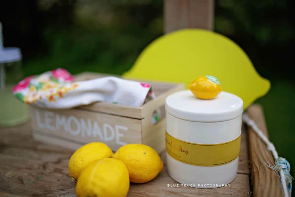 lemonade stand summer mini session lasalle illinois ottawa sisters lemons