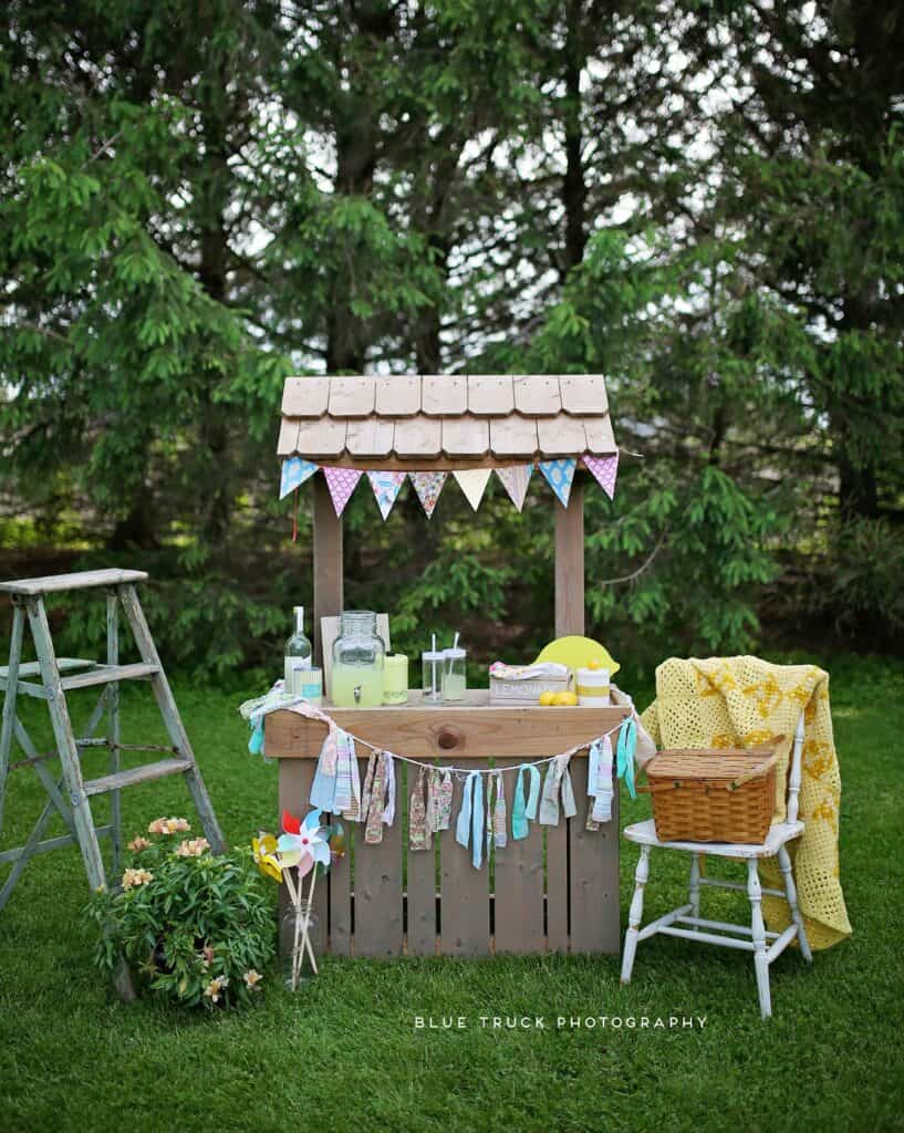 lemonade stand summer mini session lasalle illinois ottawa sisters lemons picnic vintage
